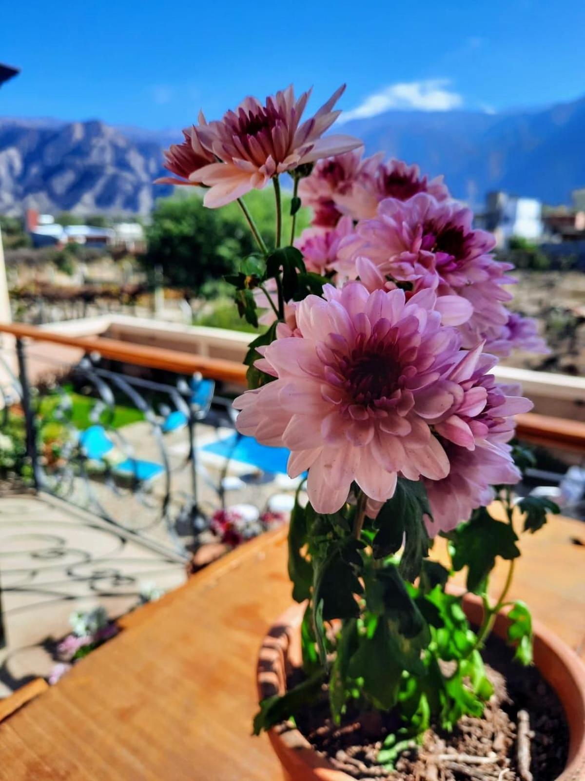 Luna De Cafayate Hotel Boutique Екстер'єр фото